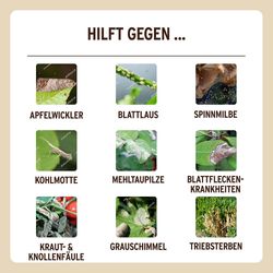 4062700630525-7.jpg 4062700630525-7.jpg