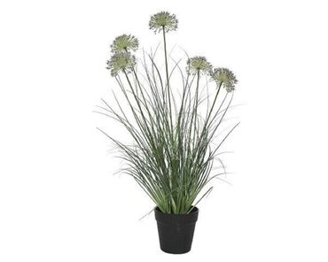 Gras Topf Blumen Zuhause Dekoration grün/violett Ø 35 cm H 74 cm
