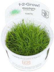 4251377976825.jpg 4251377976825.jpg