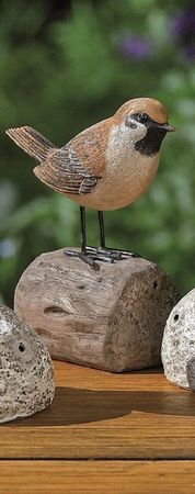 Bewegungsmelder Vogel Spatz punkte Rücken