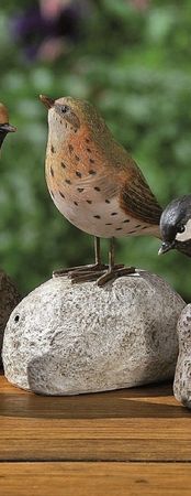 Bewegungsmelder Vogel gepunktet am Bauch