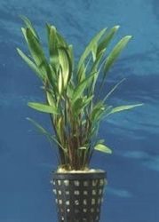 4001615006483.jpg 4001615006483.jpg