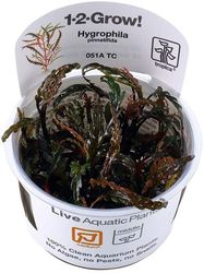 5703249851123.jpg 5703249851123.jpg