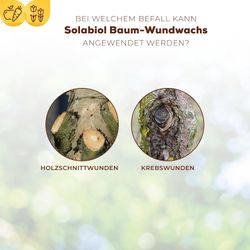 3664715026969-5.jpg 3664715026969-5.jpg