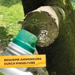 3664715026969-6.jpg 3664715026969-6.jpg