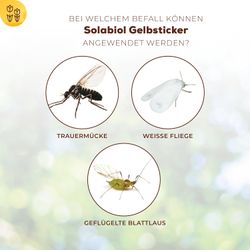 4000680058830-4.jpg 4000680058830-4.jpg