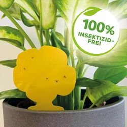 4000680058830-5.jpg 4000680058830-5.jpg