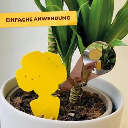 4000680058830-6.jpg 4000680058830-6.jpg