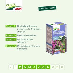 4024024520616-6.jpg 4024024520616-6.jpg