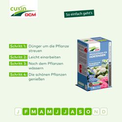 4024024521910-6.jpg 4024024521910-6.jpg