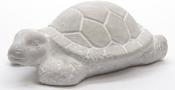 8718533546859-1.jpg 8718533546859-1.jpg