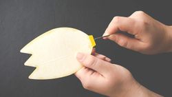 4062700076194-10.jpg 4062700076194-10.jpg