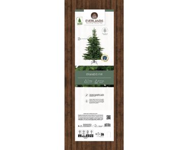 Künstlicher Weihnachtsbaum Grandis Tanne Ø 111cm H.150cm grün