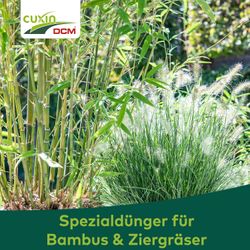 4024024508911-9.jpg 4024024508911-9.jpg