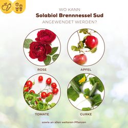 3664715000334-3.jpg 3664715000334-3.jpg