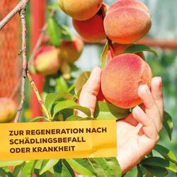 3664715000334-6.jpg 3664715000334-6.jpg