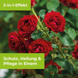 4000680112341-7.jpg 4000680112341-7.jpg