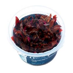 4001615300550.jpg 4001615300550.jpg