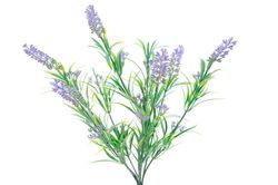 8717427808158.jpg 8717427808158.jpg