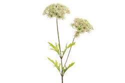 8718533718799.jpg 8718533718799.jpg