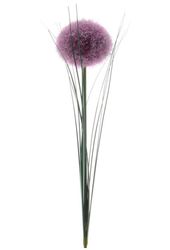 8718533885279.jpg 8718533885279.jpg