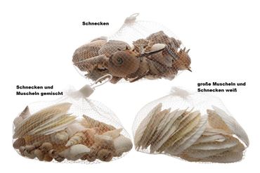 3er Set Muschelmix 3 farbig