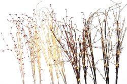 8718532355360.jpg 8718532355360.jpg