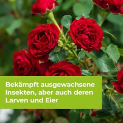 4000680111771-5.jpg 4000680111771-5.jpg