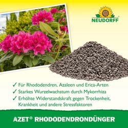 4005240012055-4.jpg 4005240012055-4.jpg