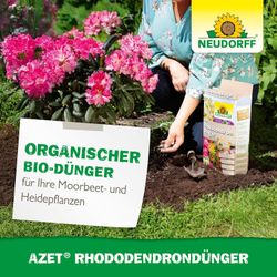 4005240012055-6.jpg 4005240012055-6.jpg