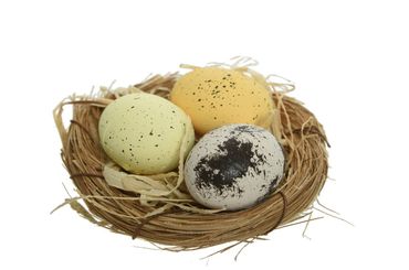 Osternest Rohrkolbennest Nest mit Foam Eier 