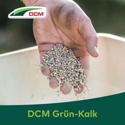 4024024203106-6.jpg 4024024203106-6.jpg