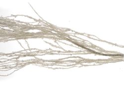 8718533464016.jpg 8718533464016.jpg