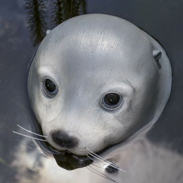 Schwimmtier Seehund Teich Garten Pool Deko Figur Kunststoff