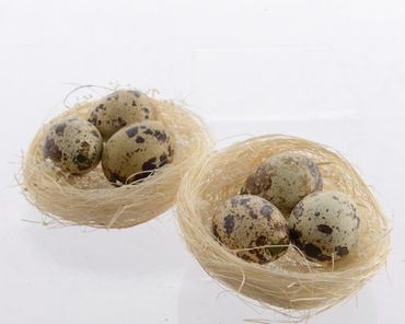 Nest Deko Osternest mit Ostereier Wachteleier Sisal 2er-Set