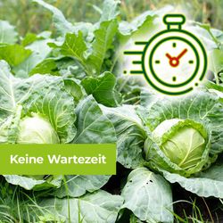 3664715080299-6.jpg 3664715080299-6.jpg