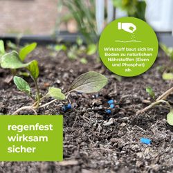 3664715080299-7.jpg 3664715080299-7.jpg