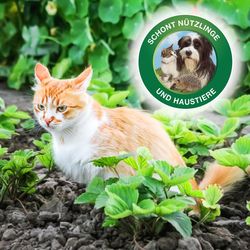 3664715080299-8.jpg 3664715080299-8.jpg