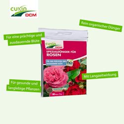 4024024502056-3.jpg 4024024502056-3.jpg