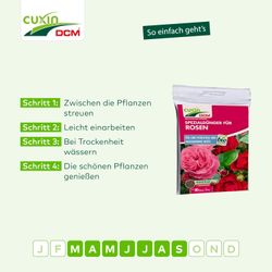 4024024502056-5.jpg 4024024502056-5.jpg