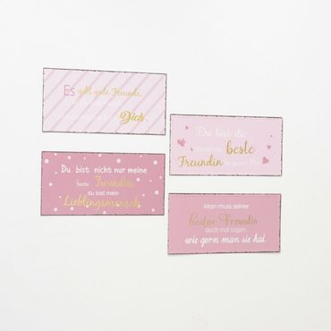 Schild Freundin Eisenschild mit Sprüchen Wanddeko Stückpreis