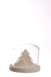 480845baum.jpg 480845baum.jpg