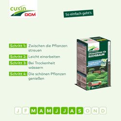 4024024503619-6.jpg 4024024503619-6.jpg