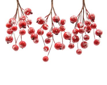 Beeren Zweig Beerenzweig verschneit Baumdeko Tischdeko 3er Set