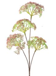 8718533996524.jpg 8718533996524.jpg