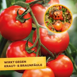 3664715031338-5.jpg 3664715031338-5.jpg