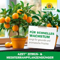 4005240012147-7.jpg 4005240012147-7.jpg