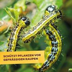 4000680703020-6.jpg 4000680703020-6.jpg