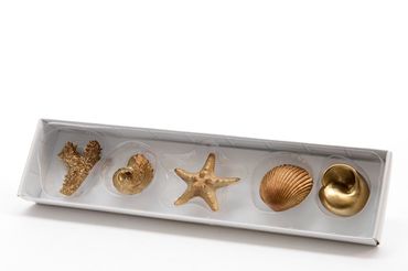 Muschel Schnecke Koralle Seestern Poly gold 5er Set