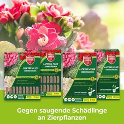 3664715039037-8.jpg 3664715039037-8.jpg